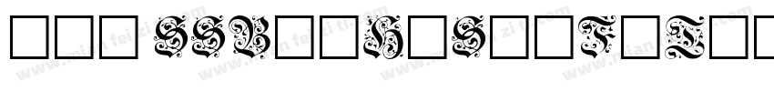 219 SSBaiHuShiFaTi字体转换